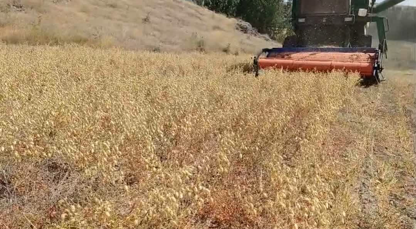 رهایی از سختی ها و کاهش هزینه های تولید
