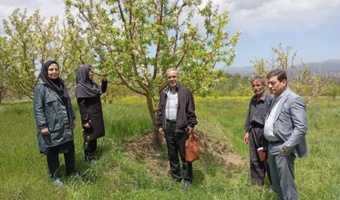 انتقال دانش گیاه‌پزشکی به باغداران اهر برای مقابله با لکه سیاه سیب