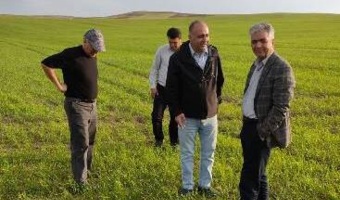 اعلام پایان بازدید سطح سبز مزاع تولید بذری استان آذربایجان شرقی