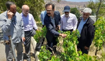 برگزاری دوره ی آموزشی روشهای بهبود کیفیت انگور به همت اداره آموزش بهره برداران مرکز تحقیقات و آموزش کشاورزی آذربایجان شرقی