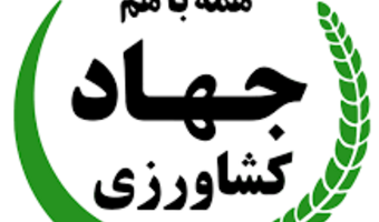 از شوک ارزی تا سایه جنگ؛ امنیت غذایی ایران چگونه از یک آزمون سخت عبور کرد؟