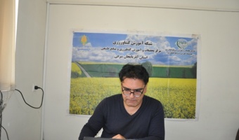 نقش کلیدی علم آمار در تحول کشاورزی مدرن