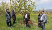 انتقال دانش گیاهپزشکی به باغداران اهر برای مقابله با لکه سیاه سیب