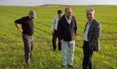 اعلام پایان بازدید سطح سبز مزاع تولید بذری استان آذربایجان شرقی