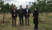 معاون پژوهش، فناوری و انتقال یافته¬های مرکز تحقیقات و آموزش کشاورزی آذربایجان شرقی خبرداد: