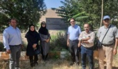 محمدزرین‌بال: ارقام امیدبخش سیب برای باغبانی کشور معرفی می‌شوند