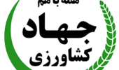 از شوک ارزی تا سایه جنگ؛ امنیت غذایی ایران چگونه از یک آزمون سخت عبور کرد؟