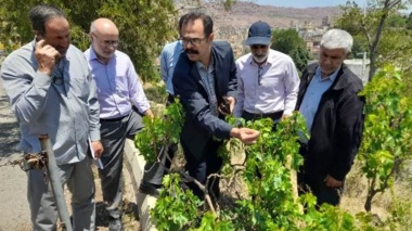 برگزاری دوره ی آموزشی روشهای بهبود کیفیت انگور به همت اداره آموزش بهره برداران مرکز تحقیقات و آموزش کشاورزی آذربایجان شرقی