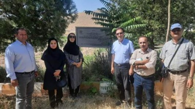 محمدزرین‌بال: ارقام امیدبخش سیب برای باغبانی کشور معرفی می‌شوند