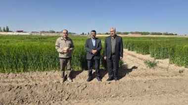 ارتقای بهره‌وری در بخش کشاورزی از اهمیت ویژه ای برخوردار است