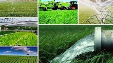 از ۱۱۲ به ۱۴۰ پروژه؛ شتاب فعالیت‌های تحقیقاتی کشاورزی در آذربایجان شرقی