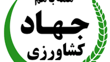 از شوک ارزی تا سایه جنگ؛ امنیت غذایی ایران چگونه از یک آزمون سخت عبور کرد؟